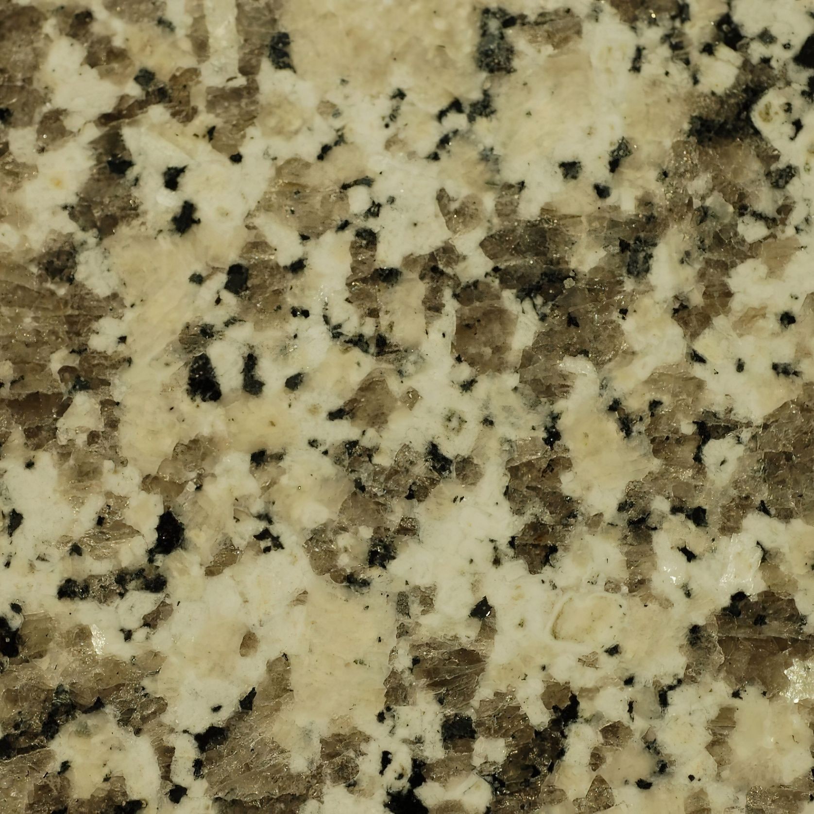 SlipSafe TerraGrip Antislip Coating gallery detail image