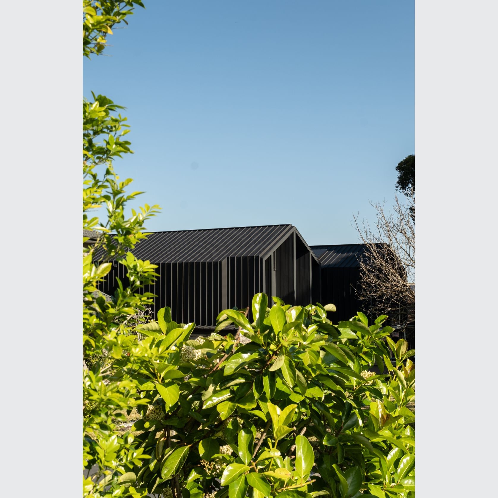 Eclipse®  Snaplock gallery detail image