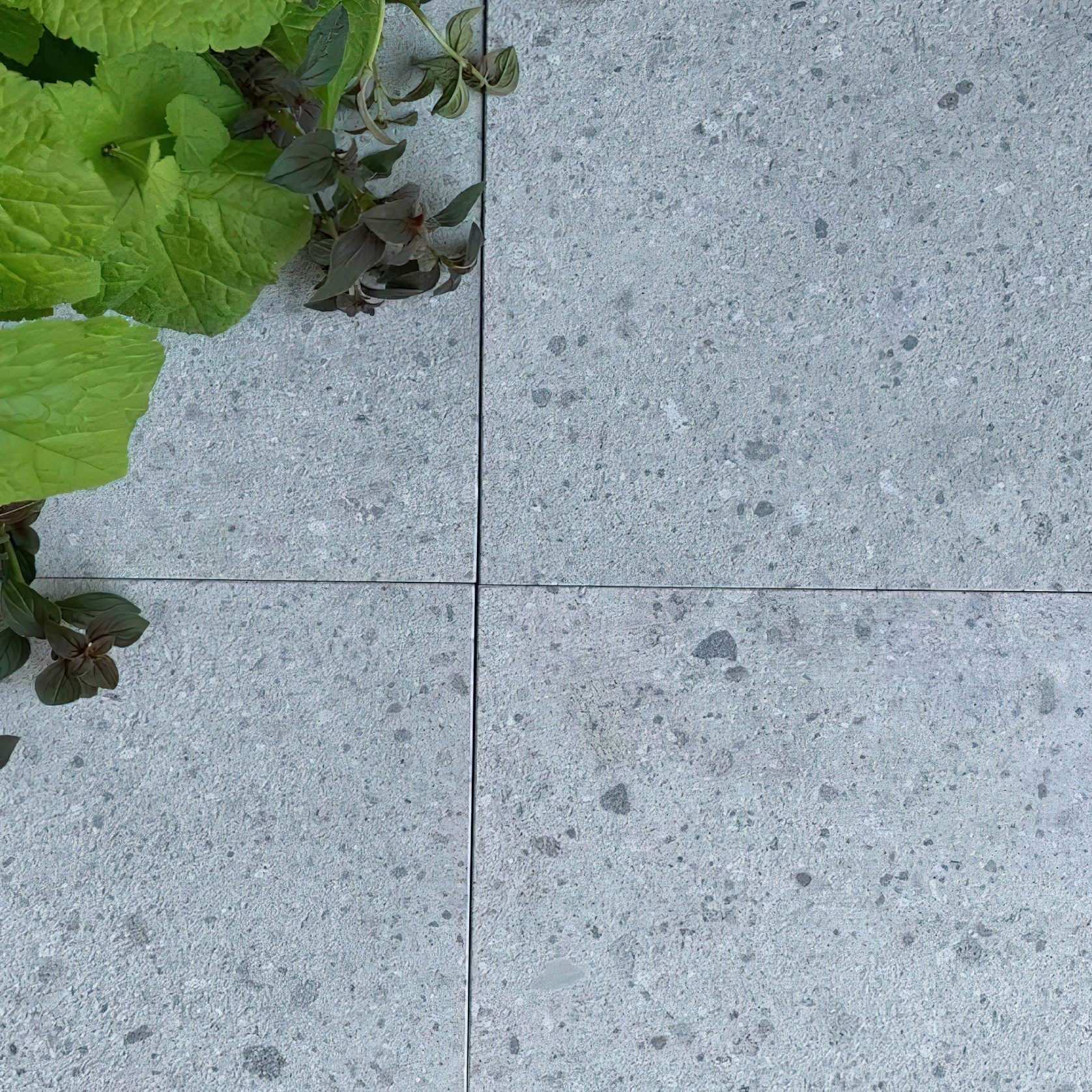 Green Limestone gallery detail image