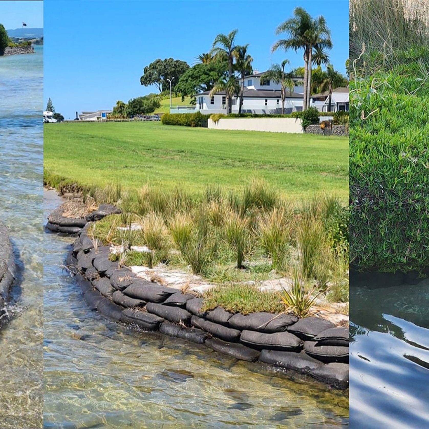 Flex MSE® Vegetated Wall System gallery detail image