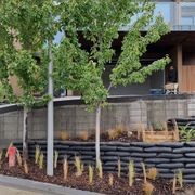 Flex MSE® Vegetated Wall System gallery detail image