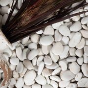 Ivory Natural | Stone Pebbles gallery detail image
