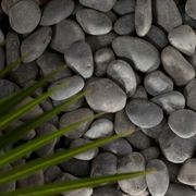 Sino Black | Stone Pebbles gallery detail image