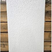 Plaster Ceiling Panel