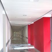 SAS205 Suspended Ceiling gallery detail image