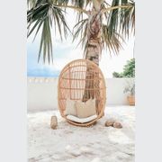 Bari Outdoor Single Hanging Chair gallery detail image