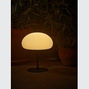 Sponge 34 Table Lamp gallery detail image