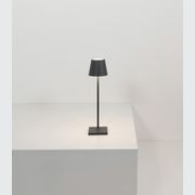 Poldina Micro Table Lamp gallery detail image