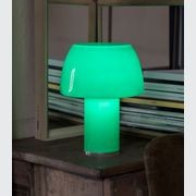 Lorosae Table Lamp gallery detail image