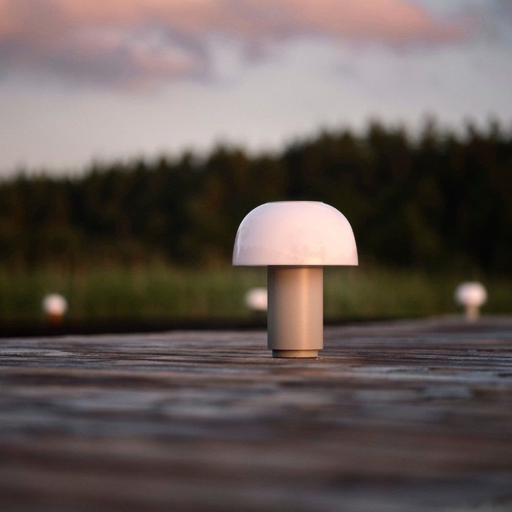 Zone Harvest Moon Lamp gallery detail image