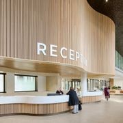 Curved Timber Click-on Battens gallery detail image