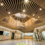 Curved Timber Click-on Battens gallery detail image