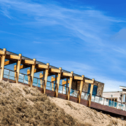 Cypress Pine Timber gallery detail image