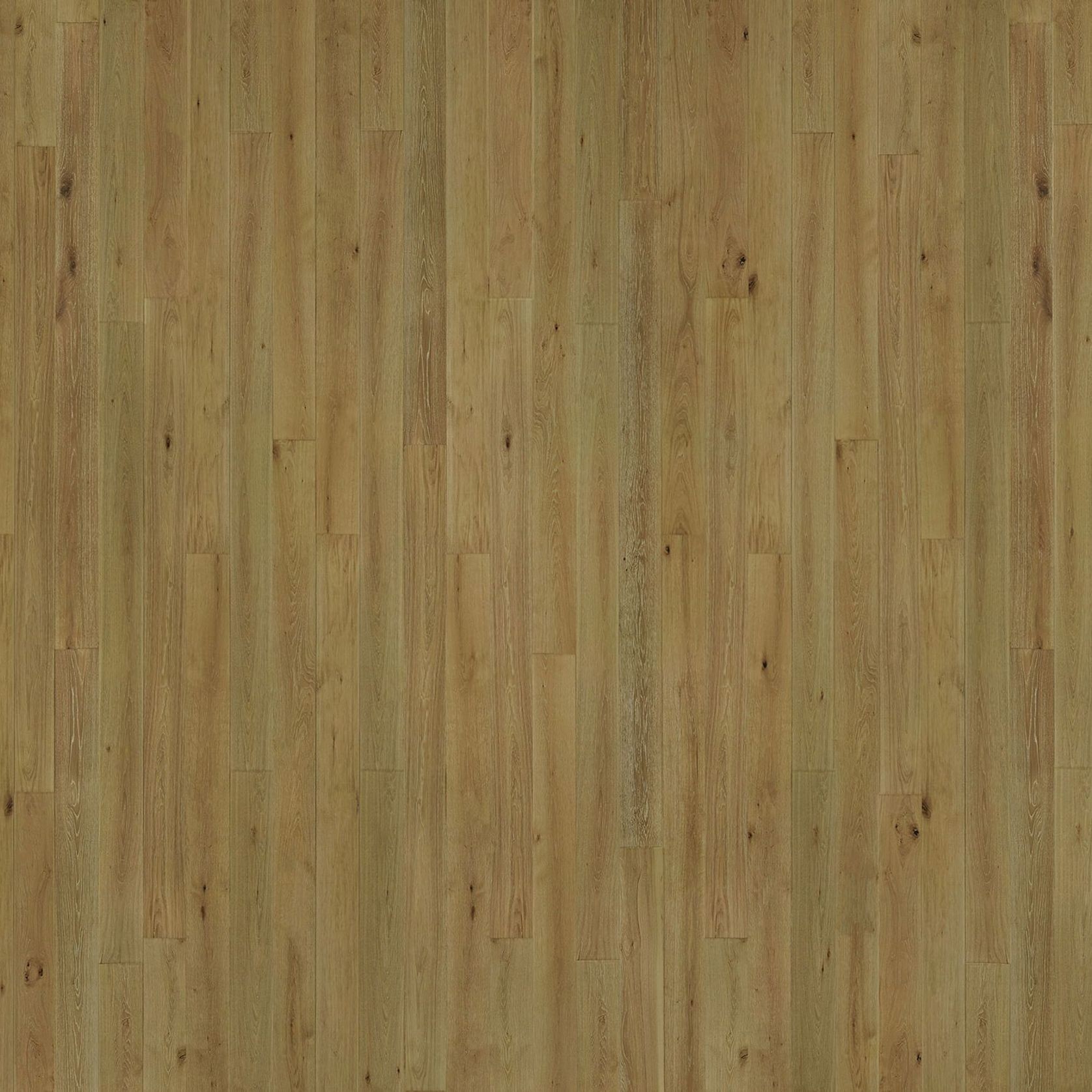 Sepia | Solid European Oak Floor Boards gallery detail image