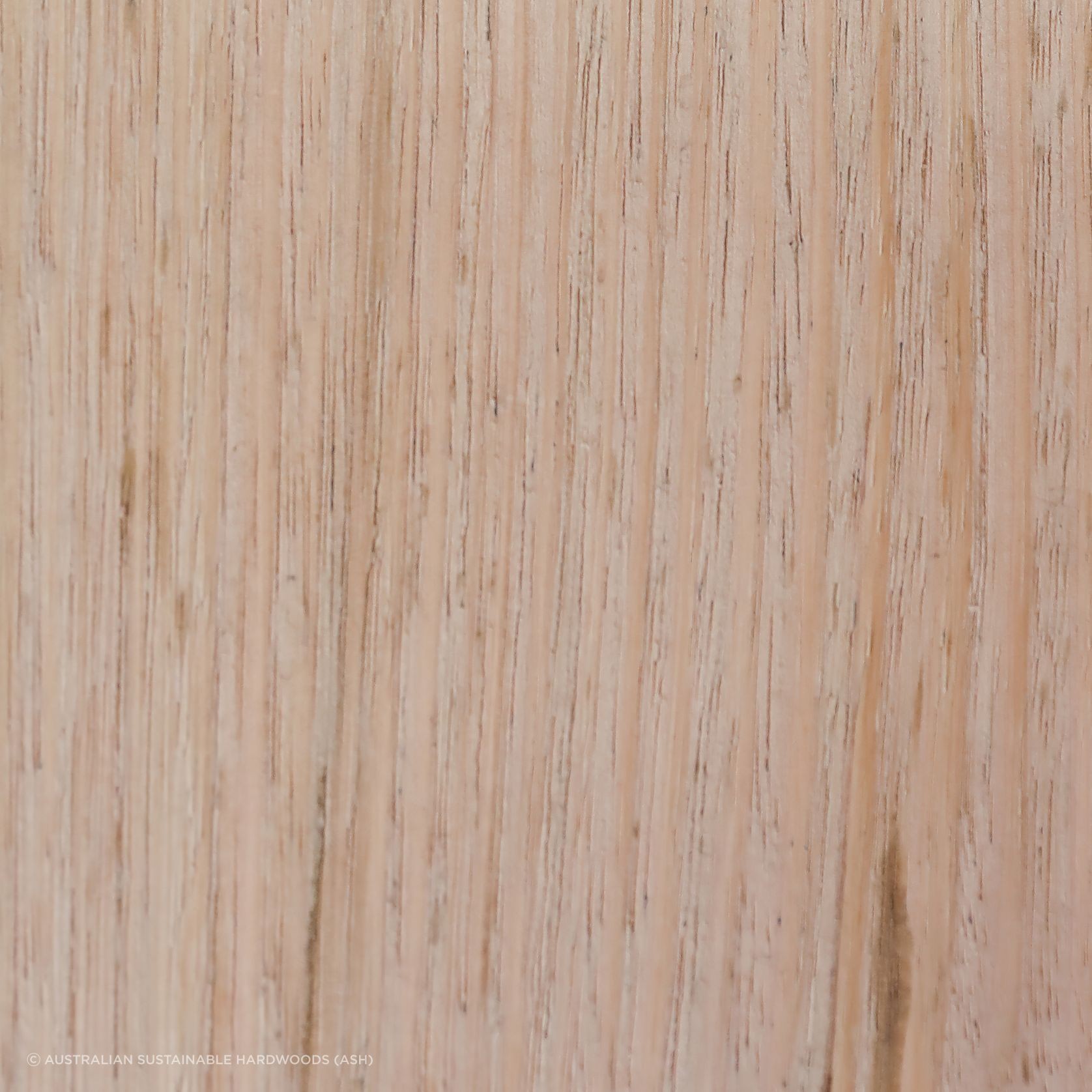 Hardwood Timber Cladding gallery detail image