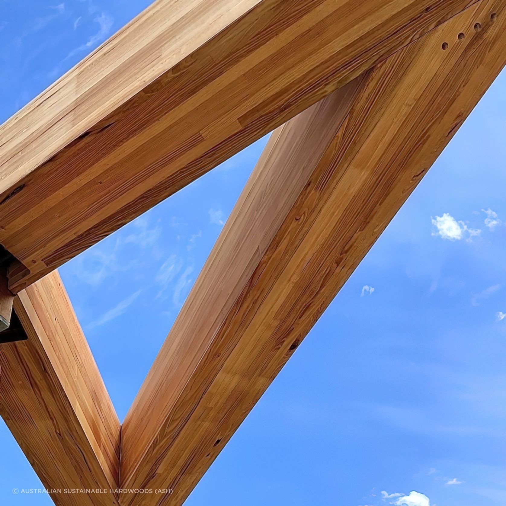 Mass Timber gallery detail image