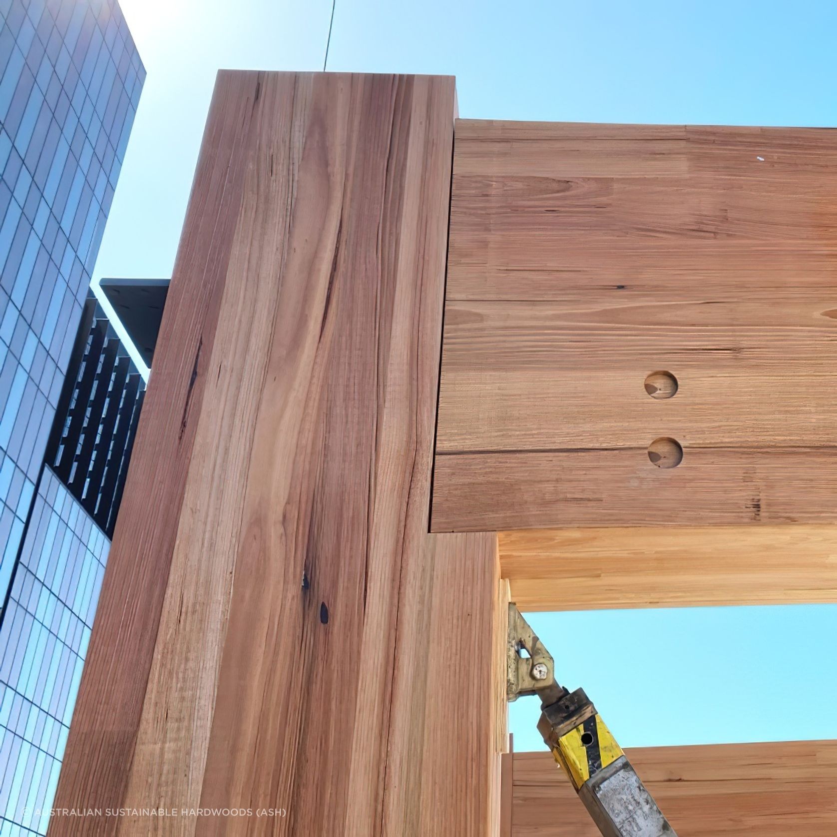 Mass Timber gallery detail image
