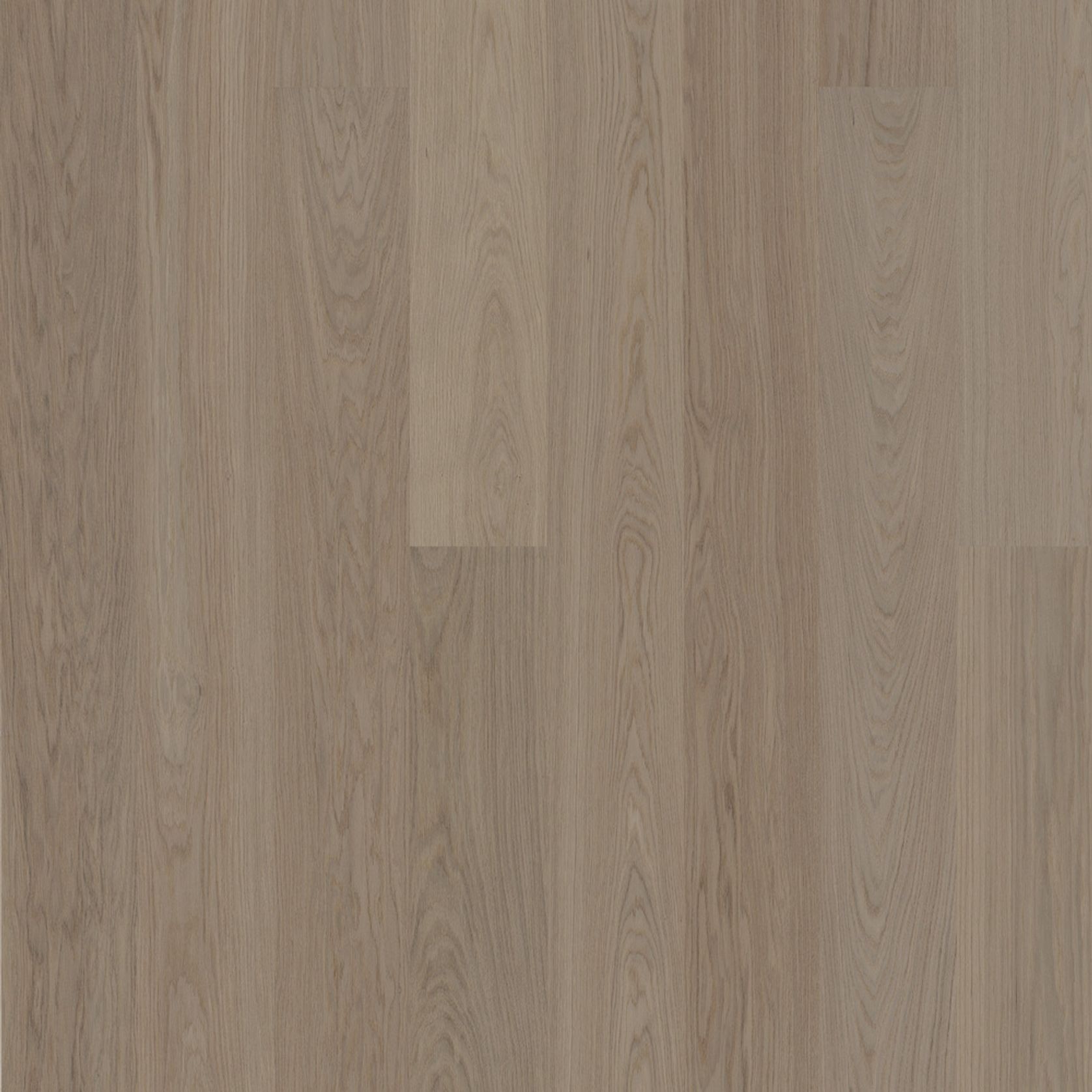 Bjelin M 151 Earth Grey Oak | Blend gallery detail image