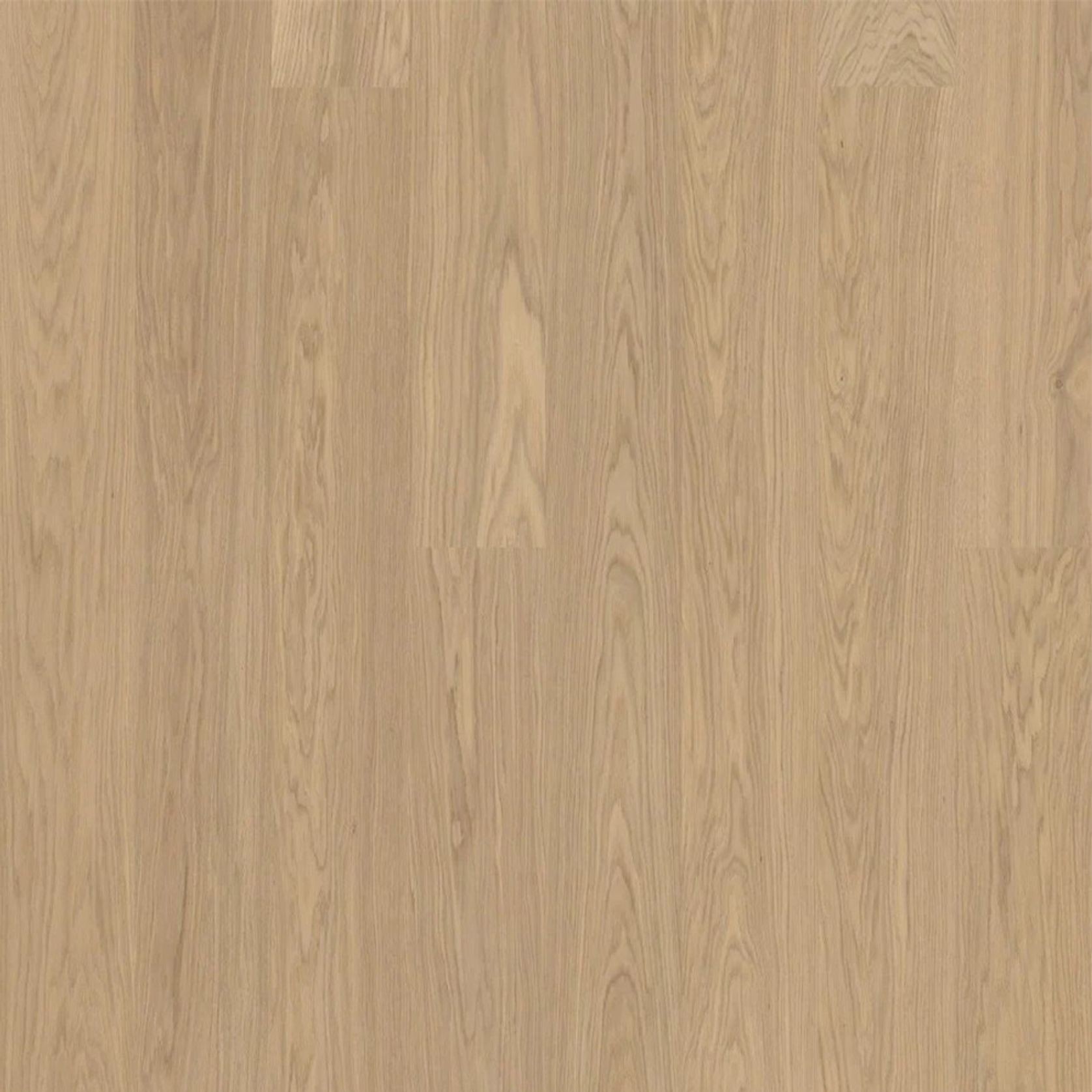 Bjelin L 180 Misty White | Select Grade gallery detail image