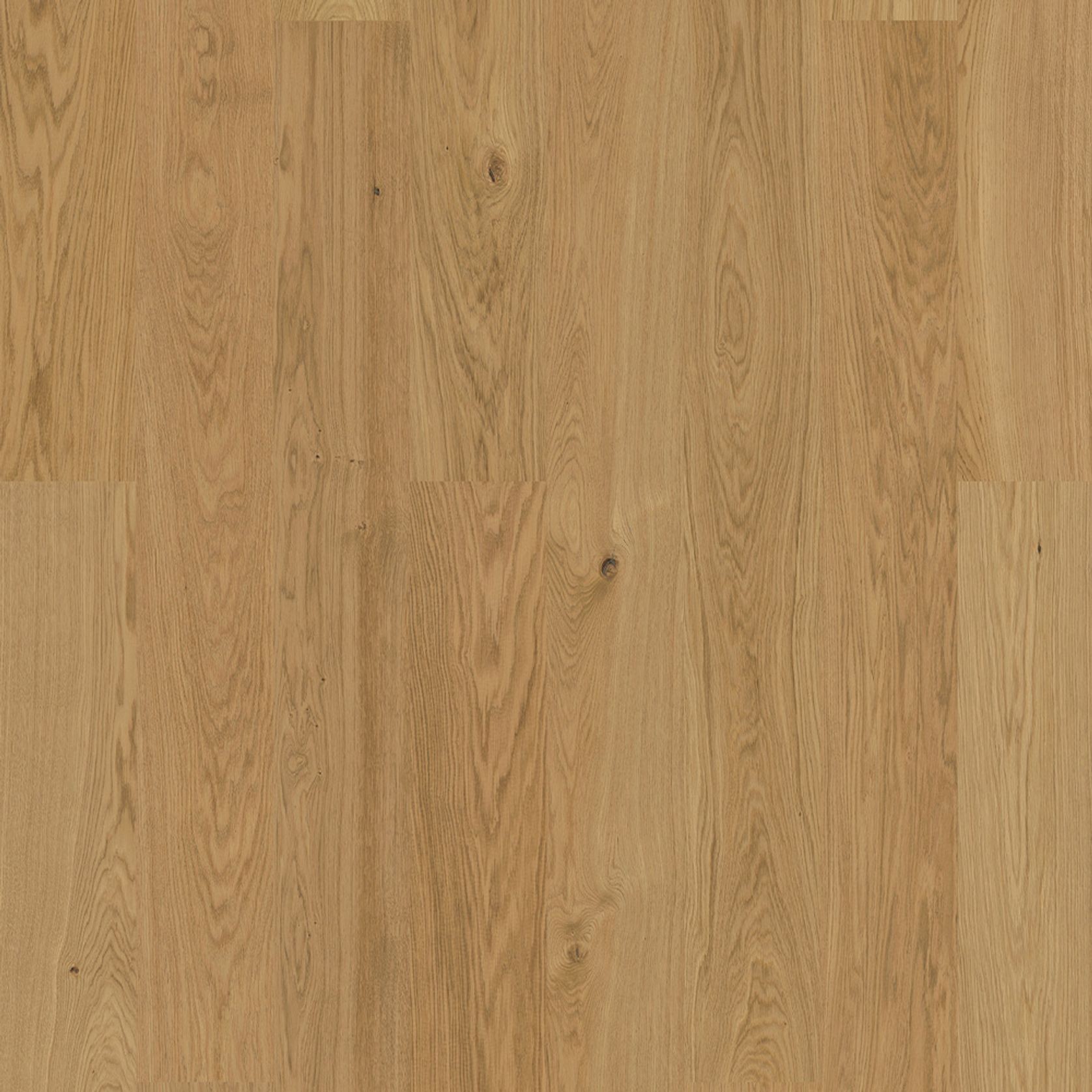 Bjelin XL 206 Natural | Nature Grade gallery detail image