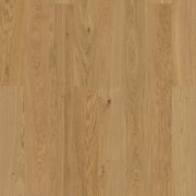 Bjelin XL 206 Natural | Nature Grade gallery detail image