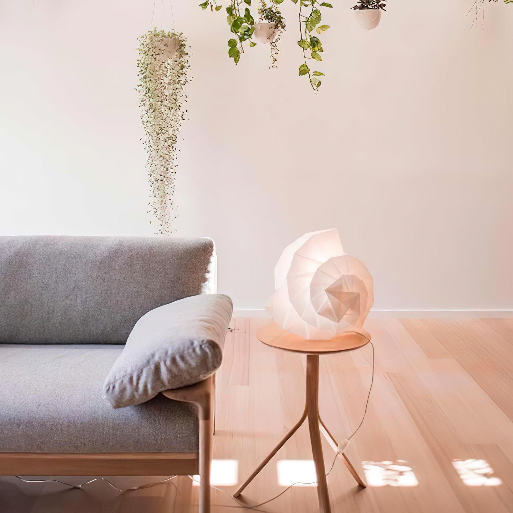 Solid Timber Flooring gallery detail image