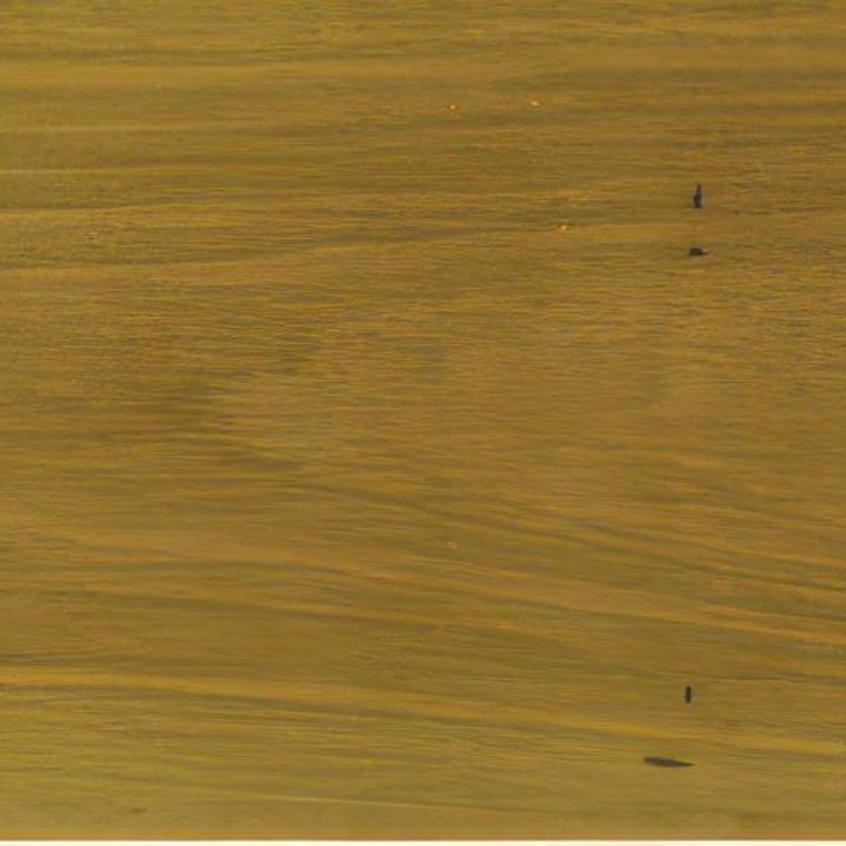 Fourteen Flooring gallery detail image