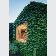 Austral BB Structural | F17 appearance plywood gallery detail image