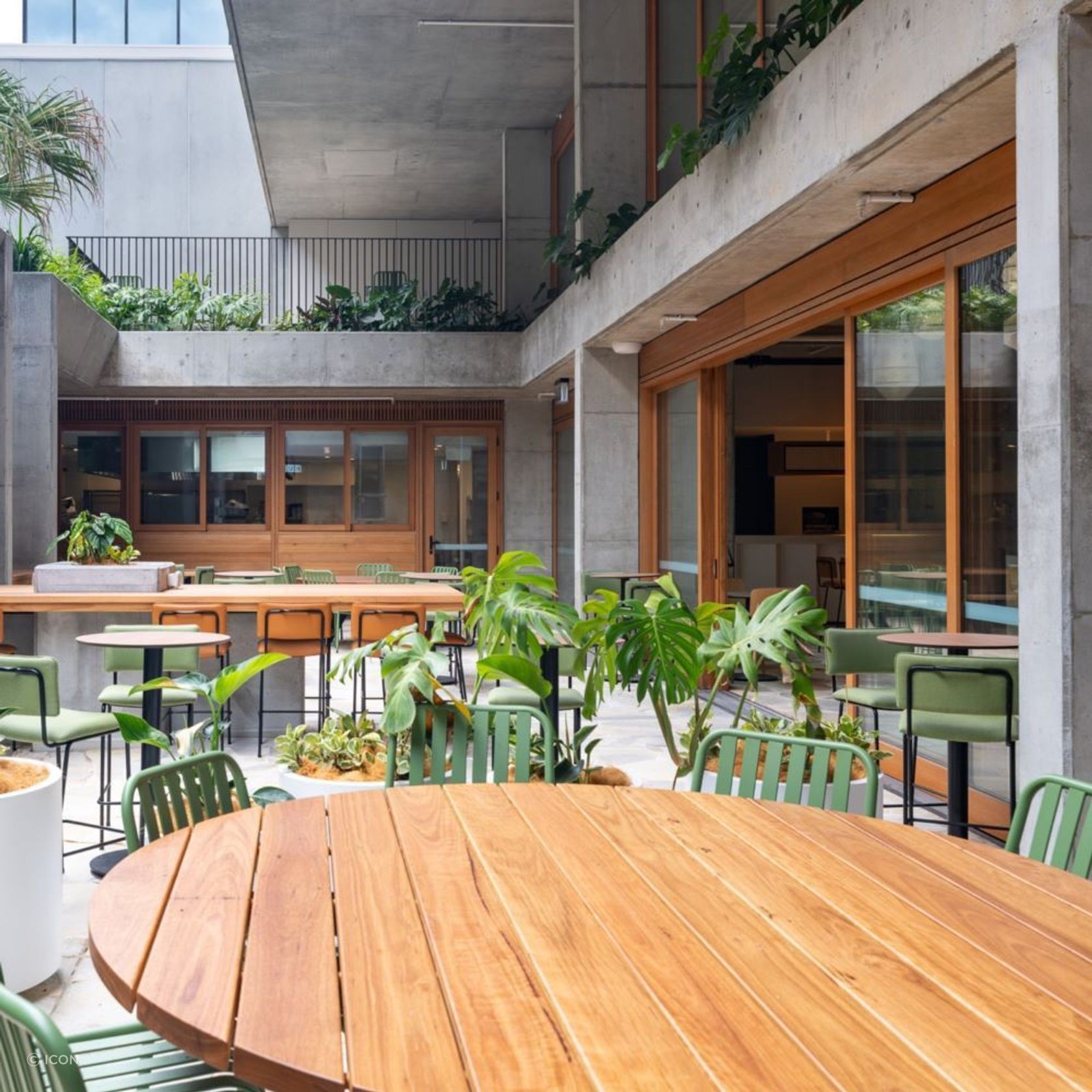 Australian Oak Timber gallery detail image