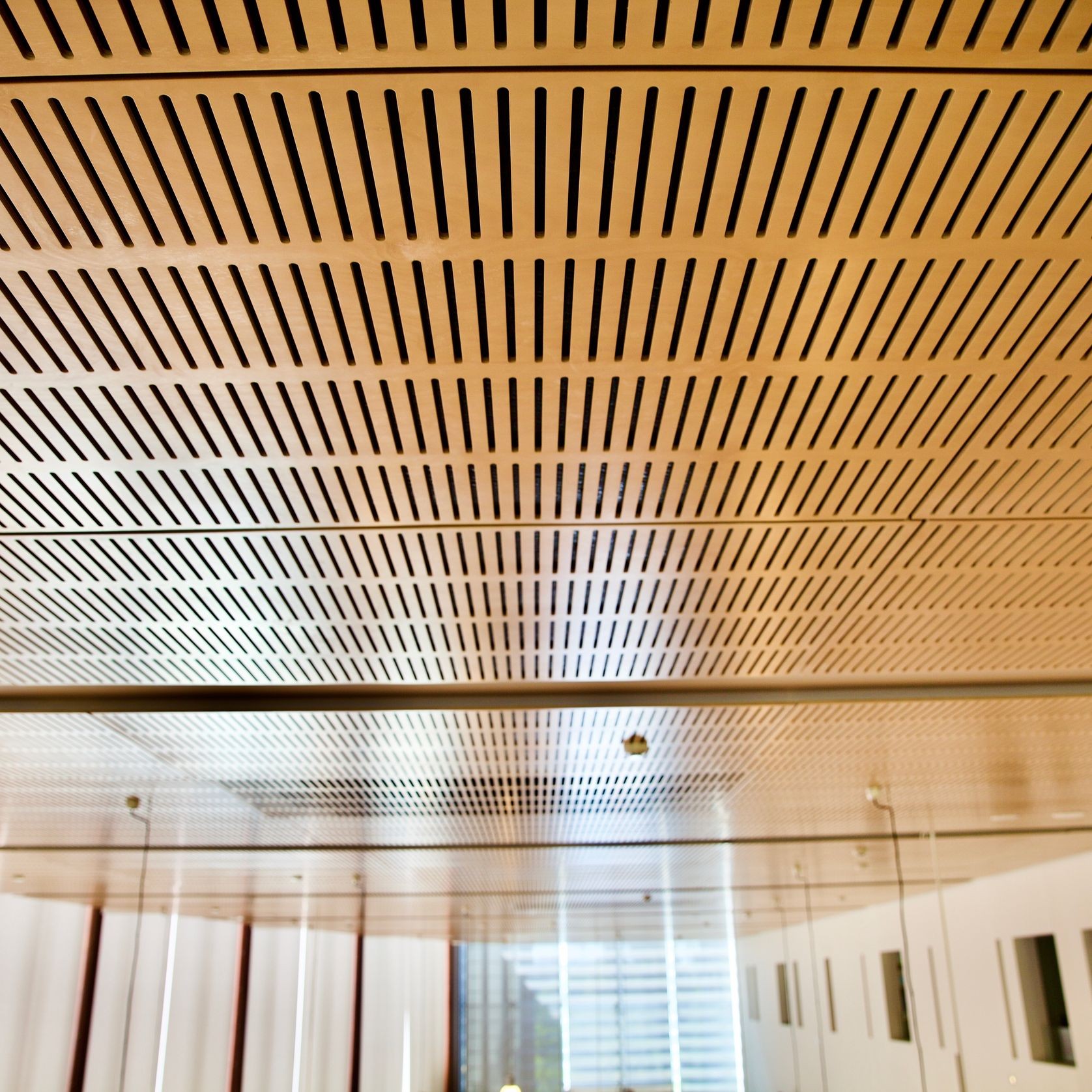 DesignerPly Perforated gallery detail image