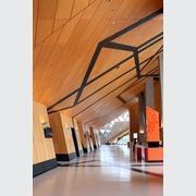 Austral Exterior | Versatile appearance grade plywood gallery detail image