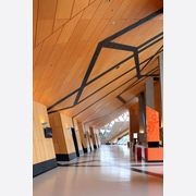 Austral AB22 | High-Strength Appearance Plywood gallery detail image