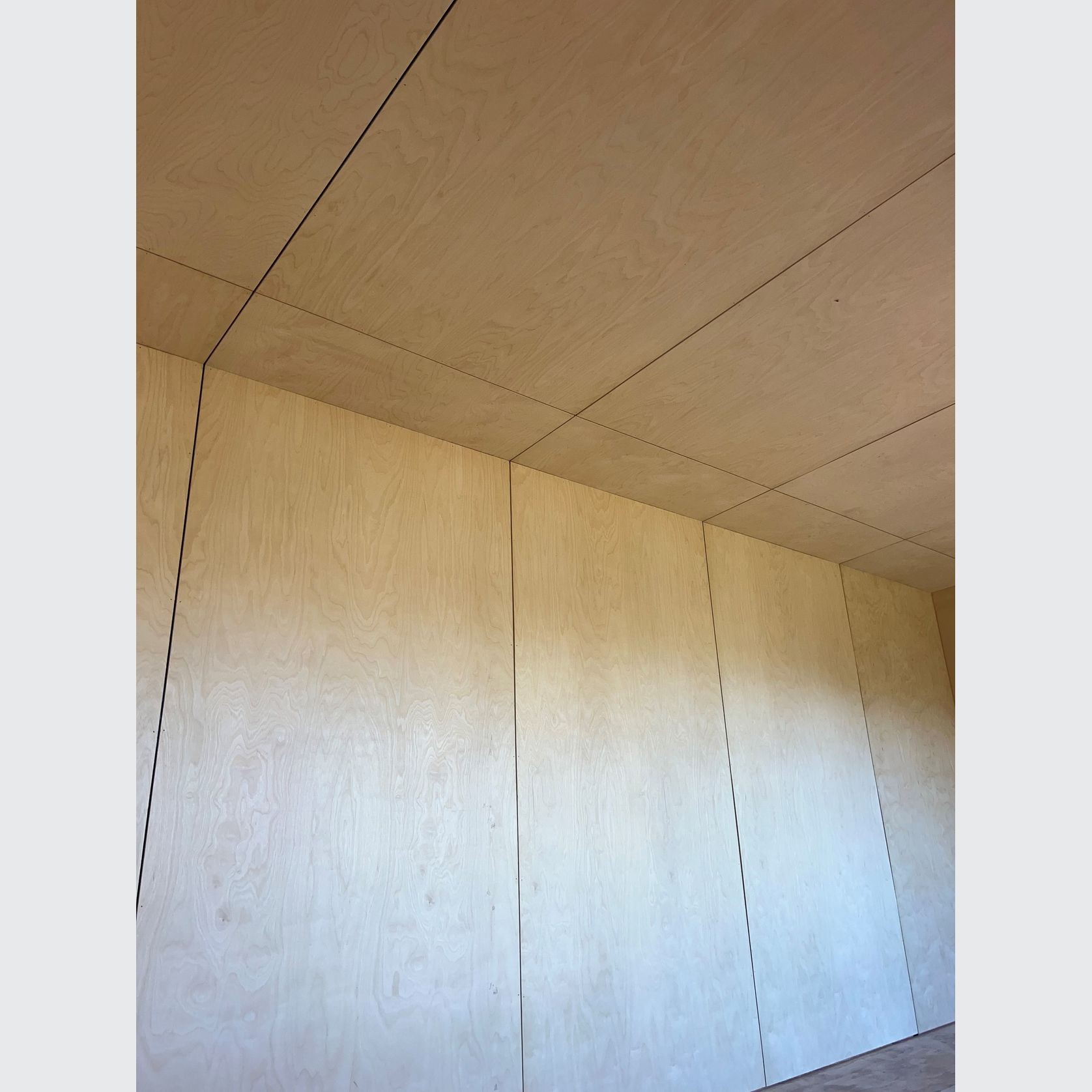 Rapidline Birch UV Plywood gallery detail image