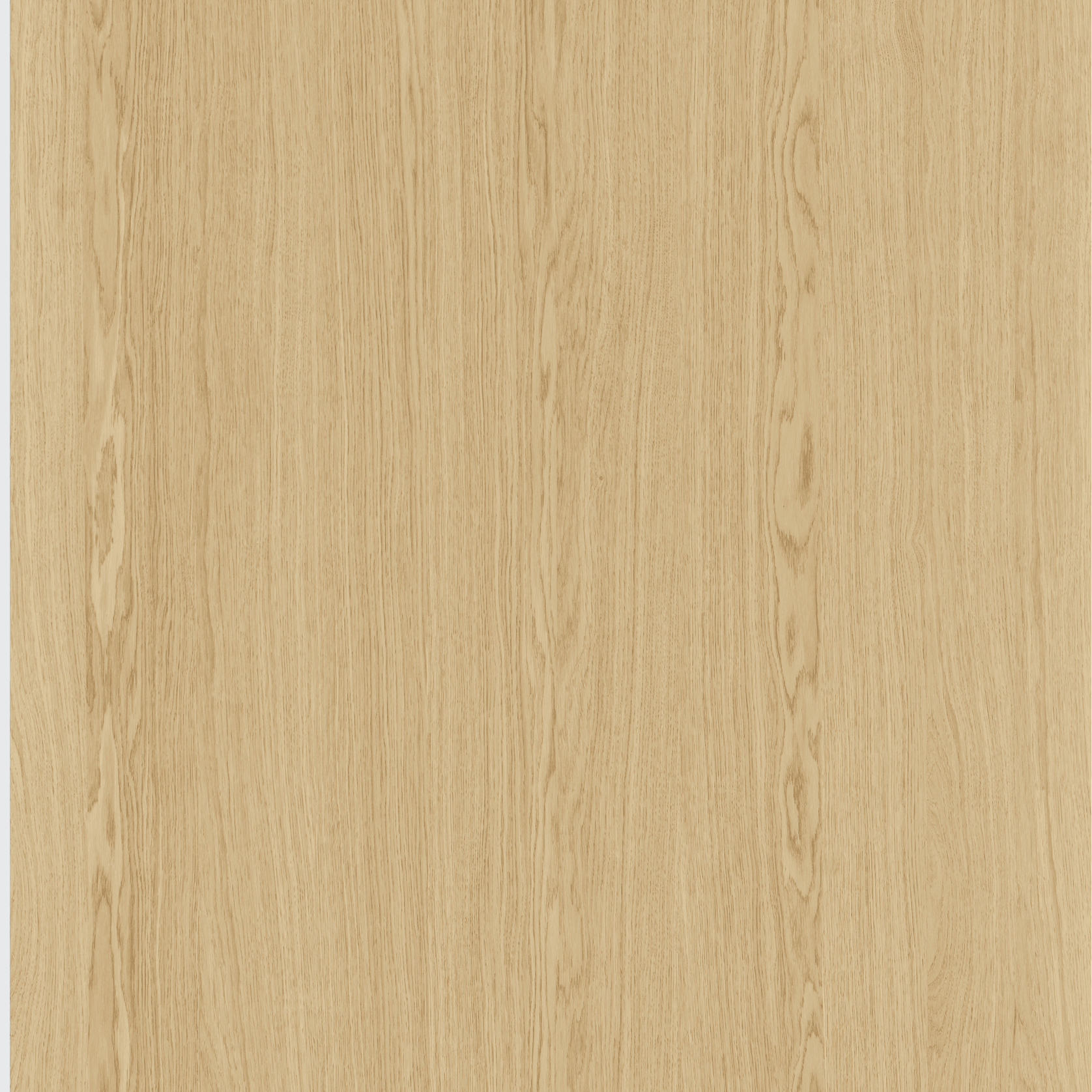 Ivory Oak Shinnoki Prefinished Timber Veneer gallery detail image