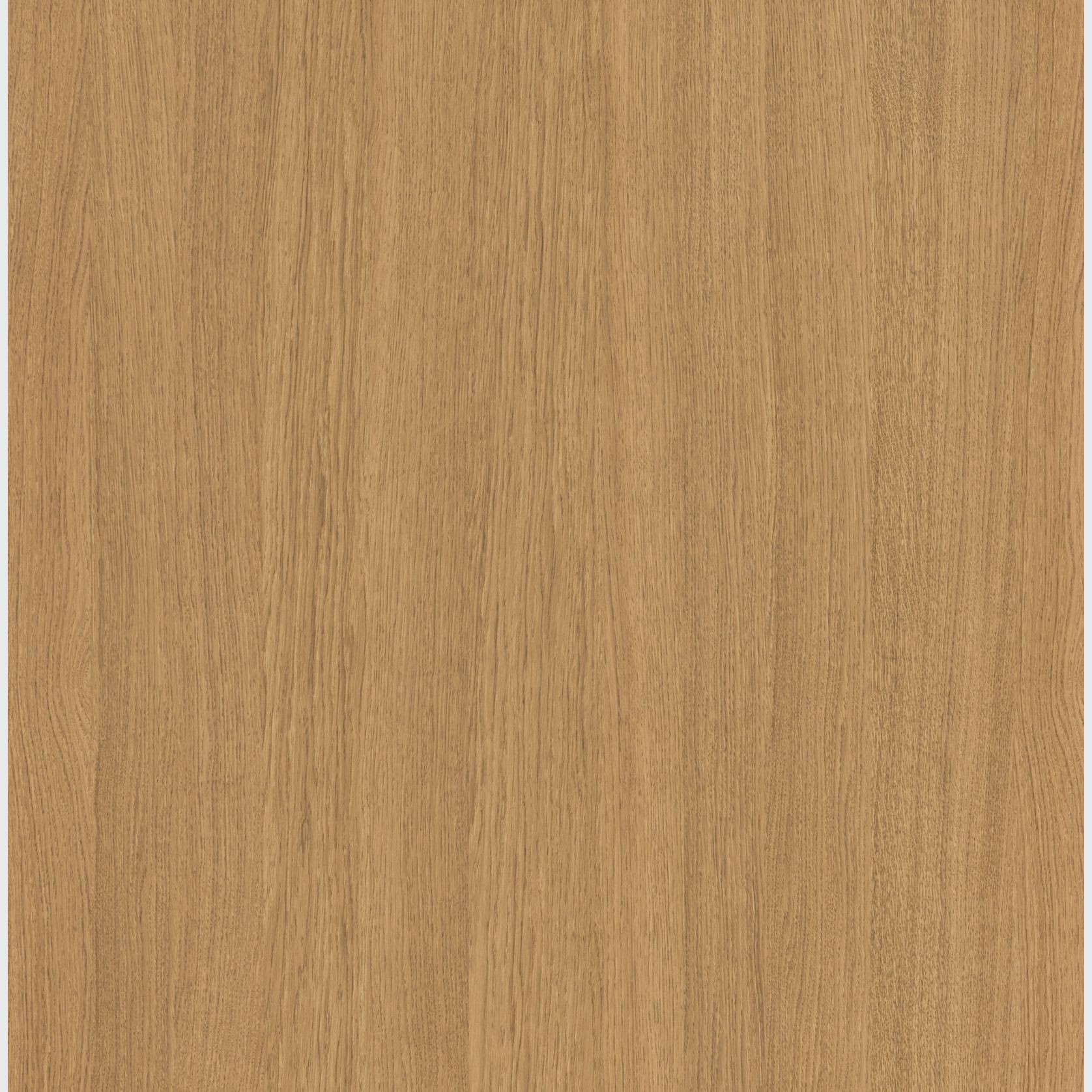 Sahara Oak Shinnoki Prefinished Timber Veneer gallery detail image