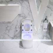 Lafeme Lucci Smart Toilet gallery detail image