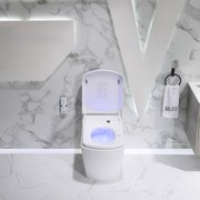 Lafeme Bloc Smart Toilet gallery detail image