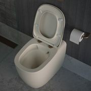 Contura II Cleanflush Invisi Series II Wall Faced Suite gallery detail image