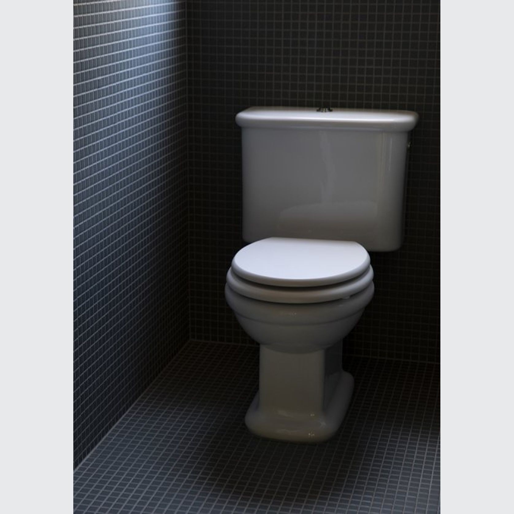 Rockwell Toilet With Close Coupled Cistern Pan gallery detail image