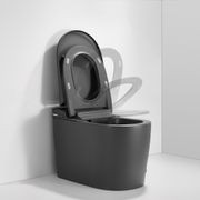 Smart Toilet Matte Grey gallery detail image
