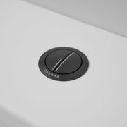 Caroma Bezel/Button Round Metal gallery detail image