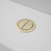 Caroma Bezel/Button Round Metal gallery detail image