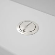 Caroma Bezel/Button Round Metal gallery detail image