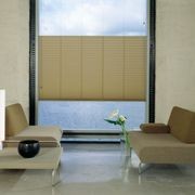 Duo Pleated Blind | Pleated Blinds gallery detail image