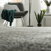 Under Carpet Floor Heating gallery detail image