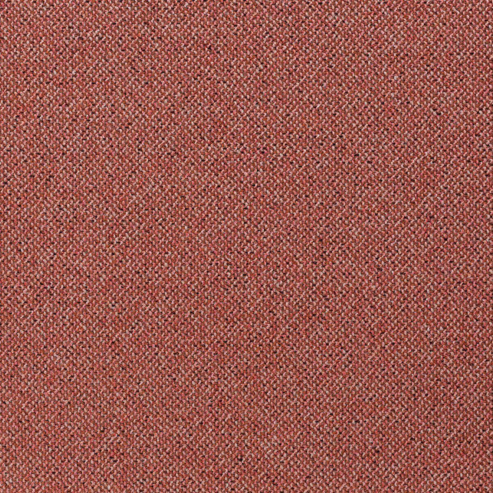 Bonsai Reboot | Unique by Chivasso gallery detail image