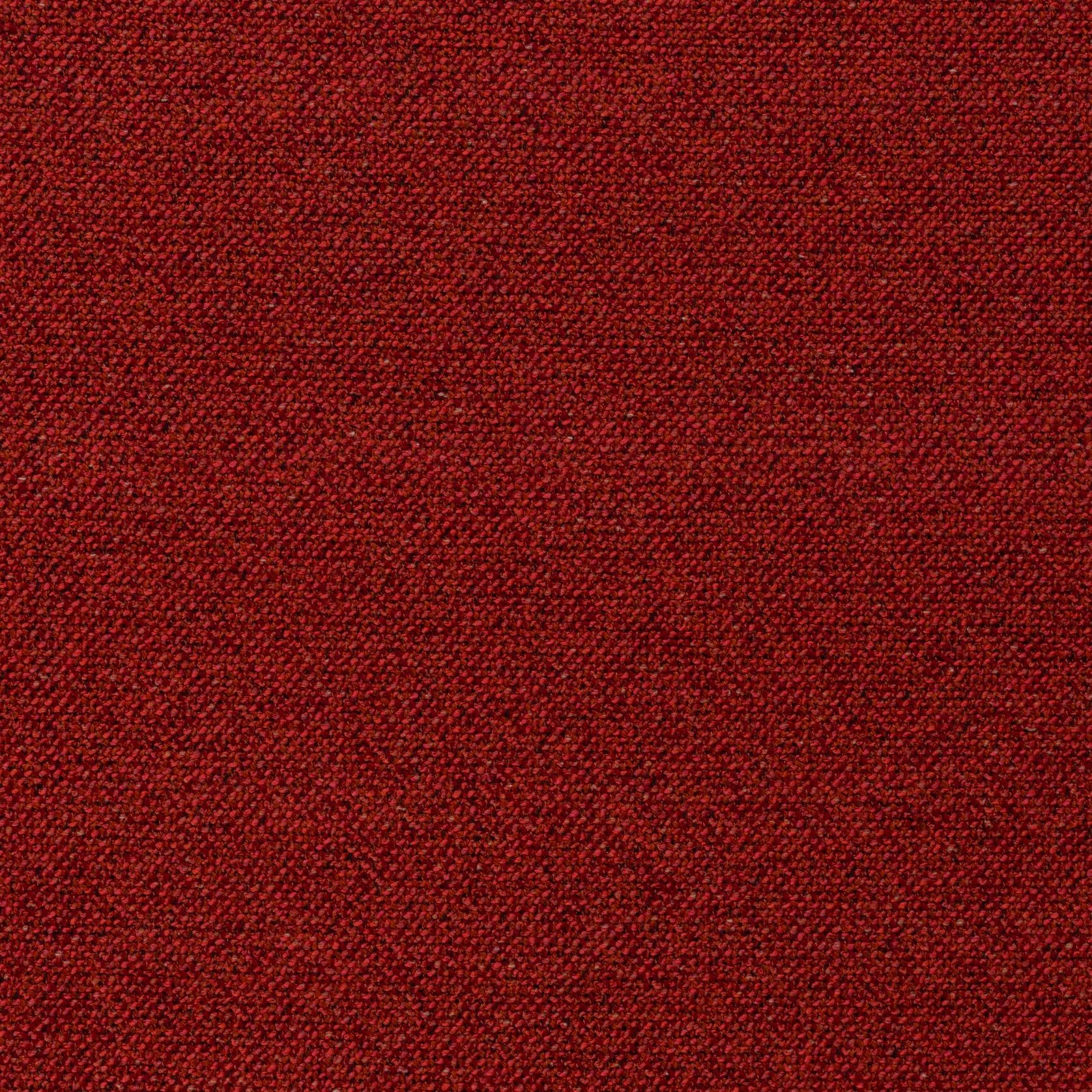 Bonsai Reboot | Unique by Chivasso gallery detail image