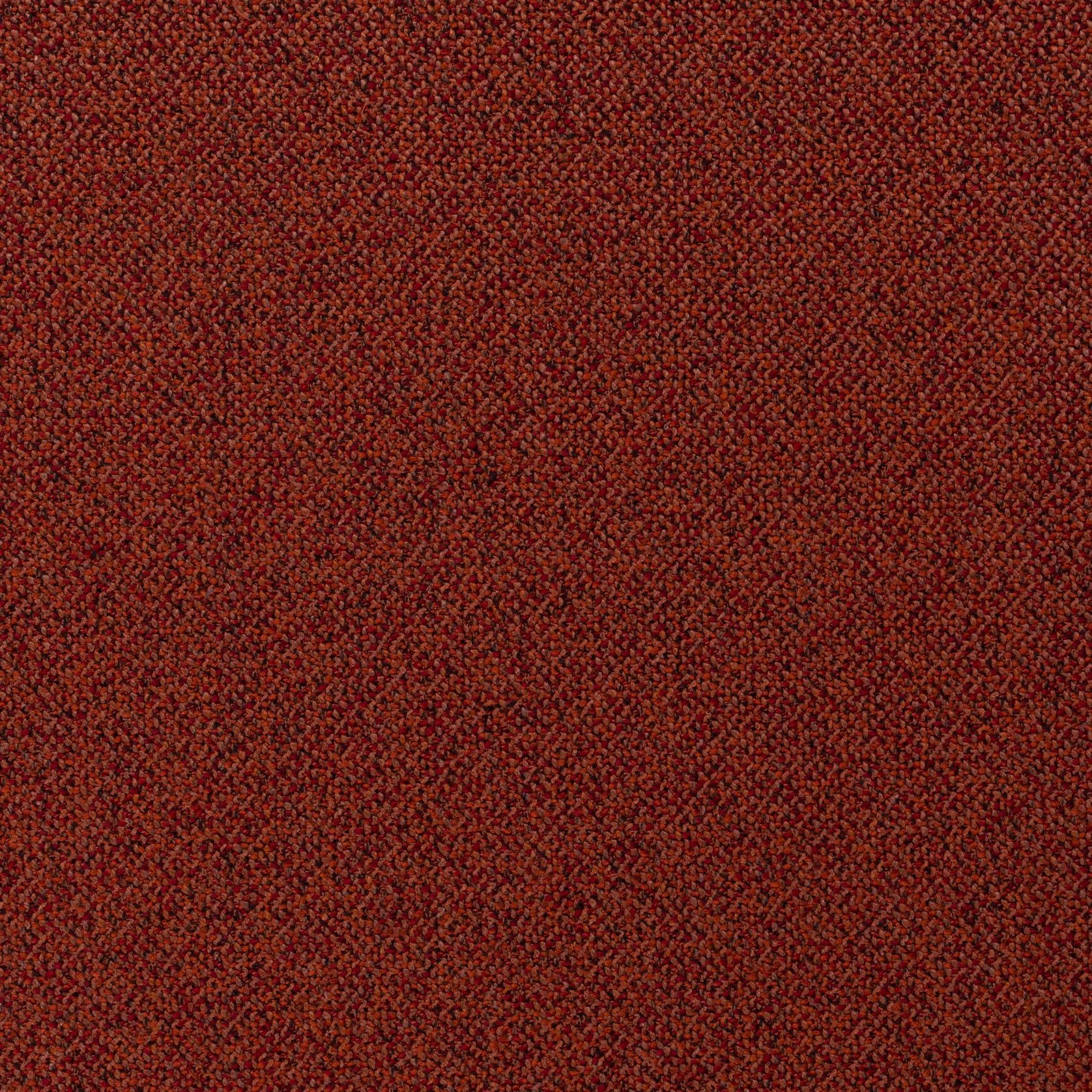 Bonsai Reboot | Unique by Chivasso gallery detail image