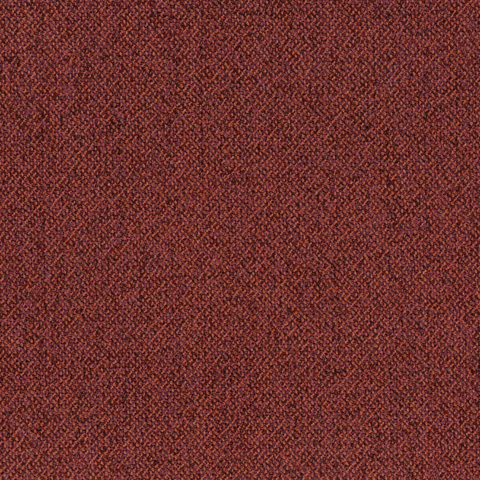 Bonsai Reboot | Unique by Chivasso gallery detail image