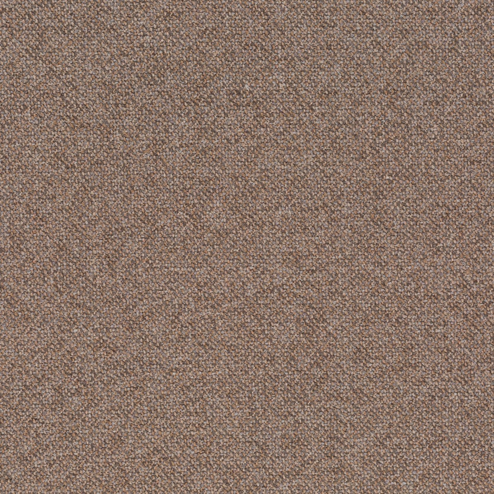 Bonsai Reboot | Unique by Chivasso gallery detail image